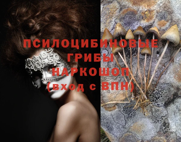 спайс Абинск
