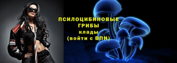 a pvp Алексин