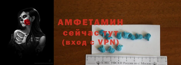 крисы Абаза