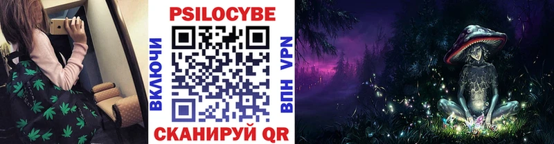 omg ссылки  Каменногорск  Псилоцибиновые грибы Psilocybine cubensis 